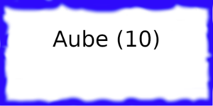 Armurerie Aube (10)